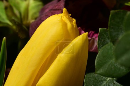 Foto de Hermoso ramo de flores de primavera brillante, de cerca - Imagen libre de derechos