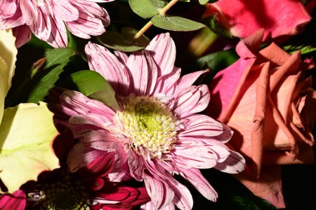 Photo for Close up of beautiful bright bouquet of flowers - Royalty Free Image