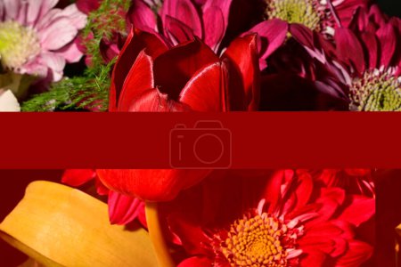 Téléchargez les photos : Belles roses rouges avec un fond noir - en image libre de droit