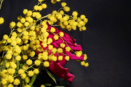 schöner heller Blumenstrauß, Studioaufnahme 
