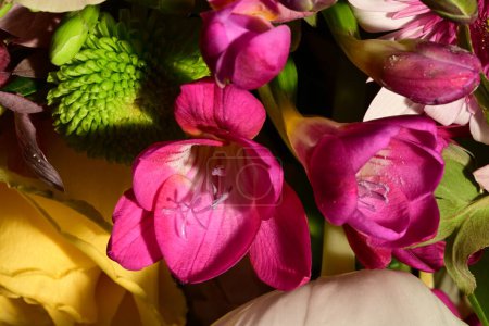 Photo for Beautiful bright bouquet of flowers, studio shot - Royalty Free Image