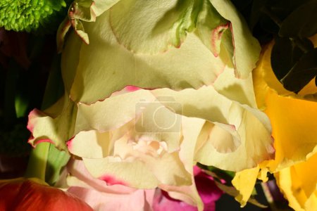 Téléchargez les photos : Beau bouquet lumineux de fleurs, plan studio - en image libre de droit