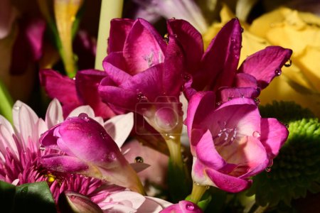 Photo for Close up of beautiful bright bouquet - Royalty Free Image