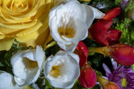 Téléchargez les photos : Gros plan de beau bouquet lumineux de fleurs - en image libre de droit