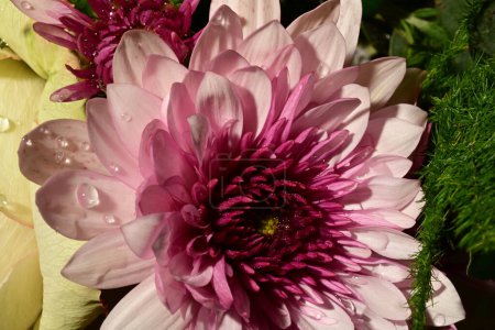 Téléchargez les photos : Gros plan de beau Bouquet de fleurs - en image libre de droit