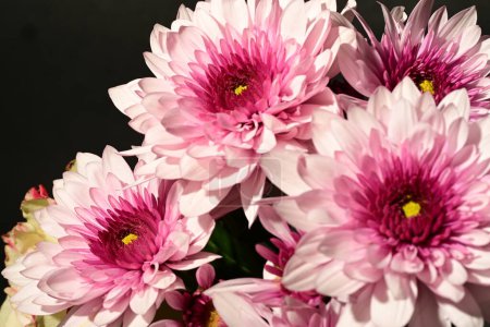 Photo for Close up of beautiful bouquet on dark background - Royalty Free Image
