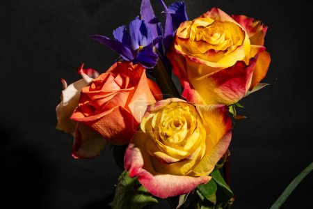 Foto de Hermoso ramo de rosas y flores de iris sobre fondo negro - Imagen libre de derechos