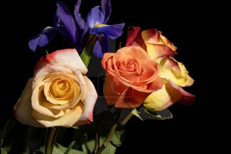 Téléchargez les photos : Beau bouquet de roses et de fleurs d'iris sur fond noir - en image libre de droit