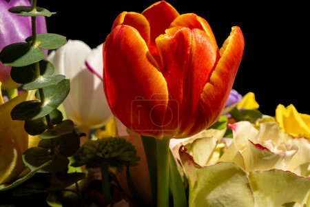 Foto de Primer plano de hermoso ramo de flores brillantes - Imagen libre de derechos