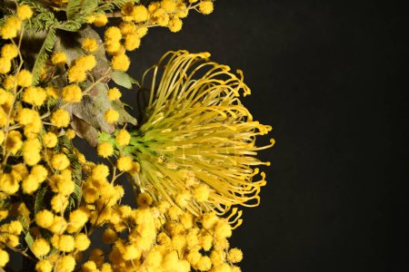 Foto de Primer plano de las flores amarillas de protea y mimosa sobre fondo oscuro - Imagen libre de derechos