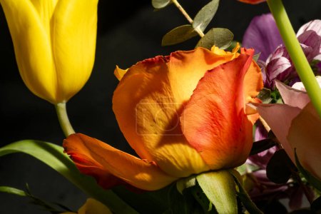 Photo for Close up of beautiful bouquet of  bright flowers - Royalty Free Image