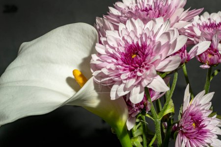 Foto de Hermosas flores sobre fondo negro, de cerca - Imagen libre de derechos
