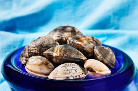 Photo for Plate with uncooked clams ,edible  bivalve mollusc , - Royalty Free Image