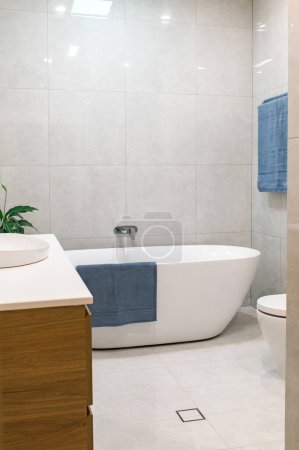 Téléchargez les photos : Moderne spacieuse rénovation de salle de bains luxueuse - en image libre de droit