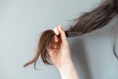 Foto de Una mujer sostiene un mechón de su cabello, mostrando puntas secas. Manos de cerca. El concepto de tricología y problemas. - Imagen libre de derechos