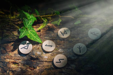 Photo for On the trunk of a tree, covered with ivy, are wooden Scandinavian runes. Mystic light. The concept of divination and esotericism. Dark colors. - Royalty Free Image