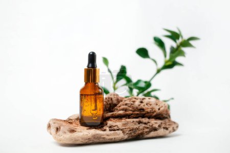 Photo for A glass brown bottle with facial serum standing on a piece of wood with a plant in the background. Copy space. The concept of organic natural cosmetics. - Royalty Free Image