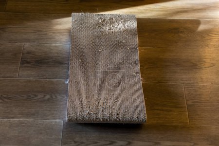 Photo for Used partly scratched cat scratching post, also doubles as a lounge bed with curved design made with corrugated cardboard on a flooring, selective focus - Royalty Free Image