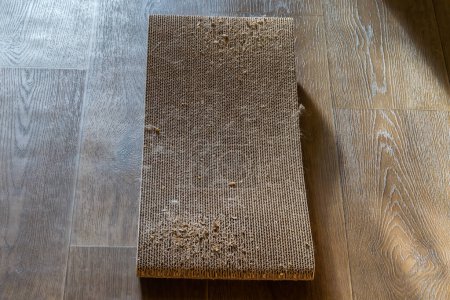Photo for Used partly scratched cat scratching post, also doubles as a lounge bed with curved design made with corrugated cardboard on a flooring, top view - Royalty Free Image