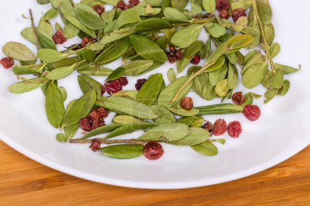 Téléchargez les photos : Feuilles et baies séchées de Vaccinium vitis-idaea, aussi connu sous le nom d'airelle ou de myrtille sur un plat blanc, gros plan sélectif - en image libre de droit