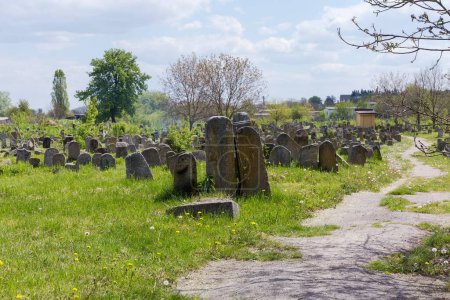 Téléchargez les photos : Fragment de l'ancien cimetière juif avec de vieilles pierres tombales en pierre au printemps jour ensoleillé, Berdychiv, Ukraine - en image libre de droit