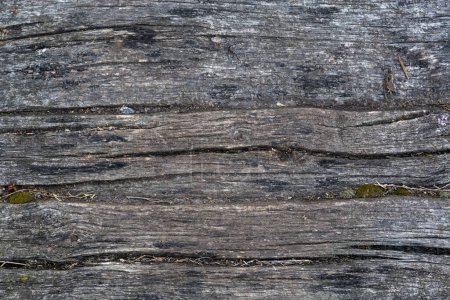 Téléchargez les photos : Texture des vieilles planches de bois foncé comme couverture de la passerelle étroite, vue de dessus par temps couvert - en image libre de droit