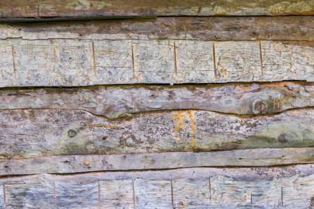 Photo for Fragment of the external wall of the medieval building made with wooden logs, partly rotten in overcast weather - Royalty Free Image