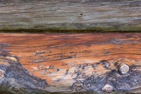 Photo for Fragment of the outside wall of ancient building made with wooden logs with knots in overcast day - Royalty Free Image