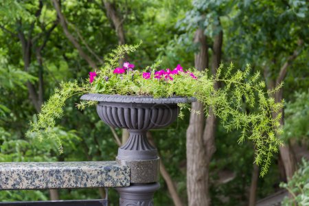 Decorative stone flower outdoor vase with ornamental creeping plant and flowers in public garden on a blurred background of tree