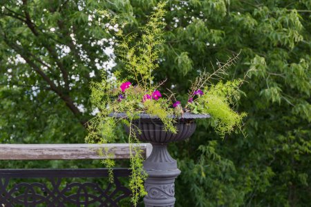 Decorative stone flower outdoor vase with ornamental creeping plant and flowers in public garden