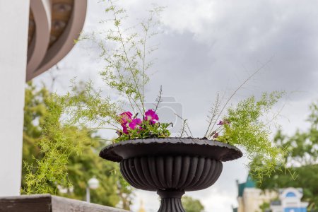 Decorative stone flower outdoor vase with ornamental creeping plant and flowers on a blurred background of cloudy sky and elements of building