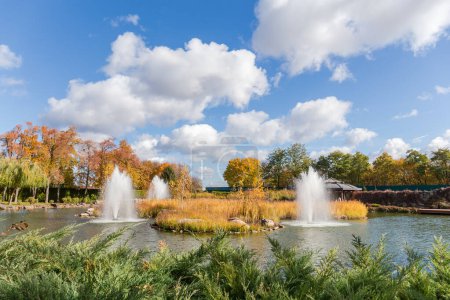 Fontaines sur étang autour de la petite île envahie par roseau sec avec des genévriers au premier plan dans le parc d'automne contre le ciel par temps ensoleillé