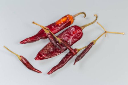 Several dried pods of the red pepper chili small and big varieties on a gray background