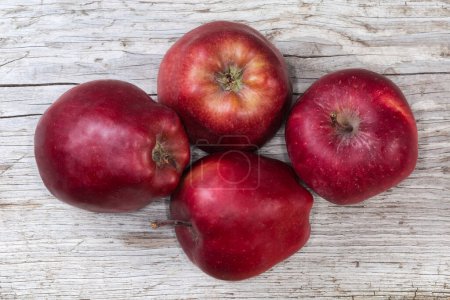 Photo for Several whole dark red apples on an old cracked wooden surface, top view - Royalty Free Image