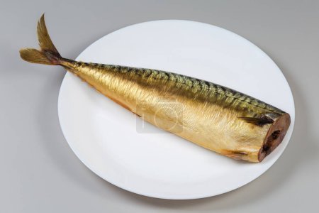 Whole cold-smoked Atlantic mackerel without head on a white dish on a gray background