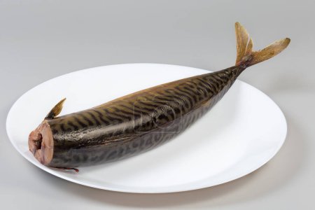 Whole cold-smoked Atlantic mackerel without head on a white dish on a gray background