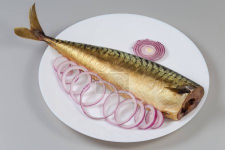 Whole cold-smoked Atlantic mackerel without head with fresh red onion sliced into rings on a white dish on a gray background