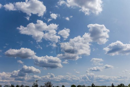 Foto de Sección del cielo con cúmulos y nubes de lluvia sobre las copas de los árboles en un horizonte - Imagen libre de derechos