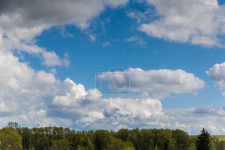 Téléchargez les photos : Section du ciel avec des cumulus au-dessus des arbres au premier plan au début du printemps - en image libre de droit