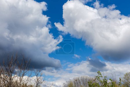 Téléchargez les photos : Plusieurs cumulus et nuages orageux avec des cimes d'arbres au premier plan au début du printemps - en image libre de droit