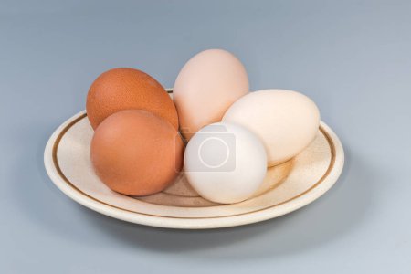 Téléchargez les photos : Œufs de poulet cuits entiers dans les coquilles de différentes nuances de blanc à brun sur une soucoupe sur un fond gris, vue de côté en mise au point sélective - en image libre de droit
