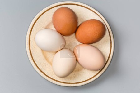 Téléchargez les photos : Œufs de poulet bouillis entiers dans les coquilles de différentes nuances de blanc à brun sur une soucoupe sur un fond gris, vue de dessus - en image libre de droit