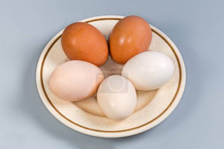 Téléchargez les photos : Œufs de poulet bouillis entiers dans les coquilles de différentes nuances de blanc à brun sur une soucoupe sur un fond gris - en image libre de droit
