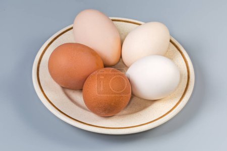 Téléchargez les photos : Œufs de poulet cuits entiers dans les coquilles de différentes nuances de blanc à brun sur une soucoupe sur un fond gris, vue latérale - en image libre de droit