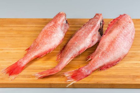 Frozen headless gutted carcasses of redfish, also known as ocean perch, covered with hoarfrost on cutting board on a gray background