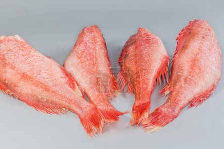 Gefrorene kopflose, ausgenommene Kadaver von Rotbarschen, auch als Meerbarsche bekannt, mit Raureif auf grauem Hintergrund bedeckt, Seitenansicht von der Schwanzseite Nahaufnahme