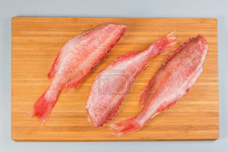 Frozen headless gutted carcasses of redfish, also known as ocean perch, covered with hoarfrost on cutting board on a gray background, top view