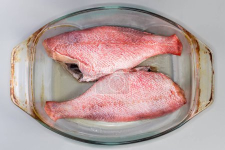 Two raw gutted redfish without heads, also known as ocean perch prepared for baking in the old glass baking dish on a gray background, top view