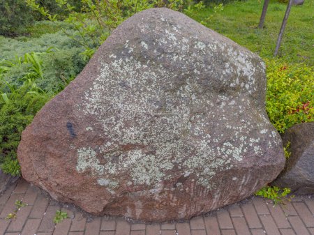 Piedra mojada de granito rojo colocada en el parque junto al sendero como decoración natural en primavera día lluvioso