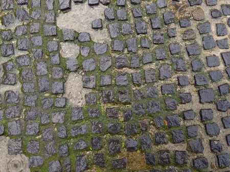 Fragment of wet footpath paved with small rectangular rubble black stone tiles with moss in the intervals between them during the strong rain, top view